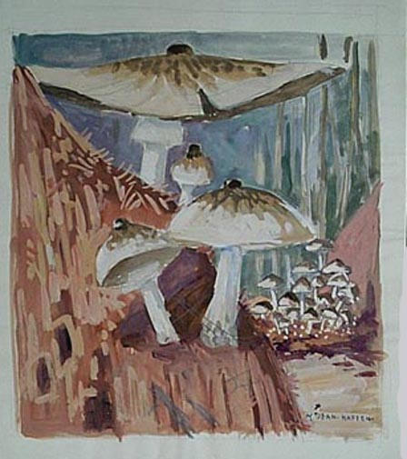 Agarics tropicaux des termitières (esquisse) [titre attribué]_0