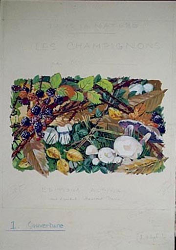 Dans la nature : les champignons (projet de page couverture) [titre attribué]_0