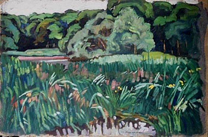 Quelques iris (étude) [titre attribué]_0