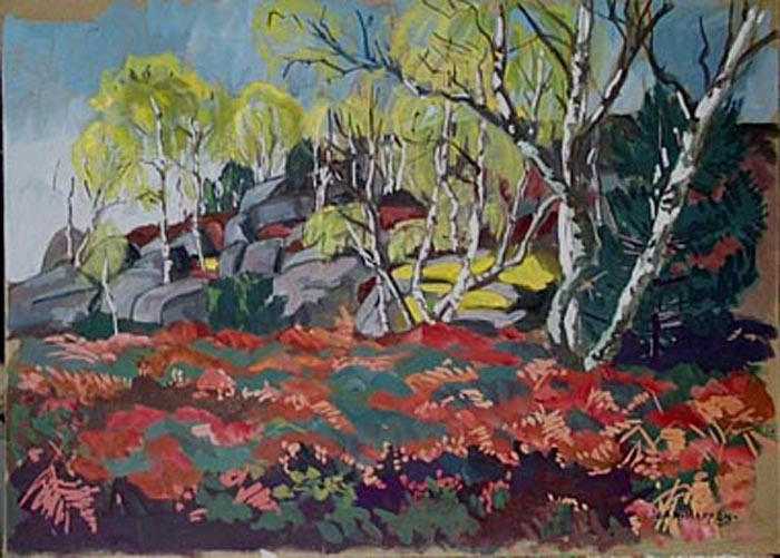 Rochers et fougères en forêt de Fontainebleau [titre attribué]_0