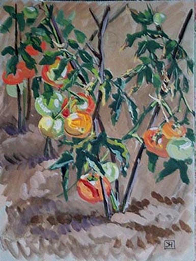 Tomates et leurs tuteurs (étude) [titre attribué]_0