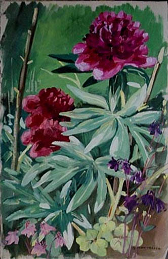 Pivoines et ancolies à la Grande Vigne (étude) [titre attribué]_0