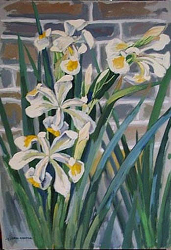 Les iris de mon jardin [titre attribué]_0