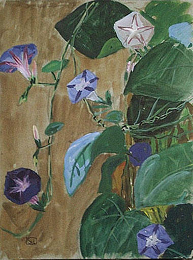 Volubilis mauve et bleu (étude) [titre attribué]_0
