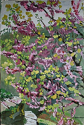 Arbre de Judée en fleurs (étude) [titre attribué]_0