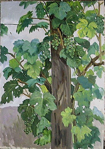 La treille autour de l'arbre [titre attribué]_0