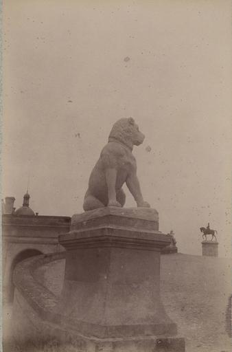 Chantilly : un des molosses. 966, A Chalot, 1885