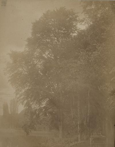 Promenade en Calèche. 8, A Chalot, 1885