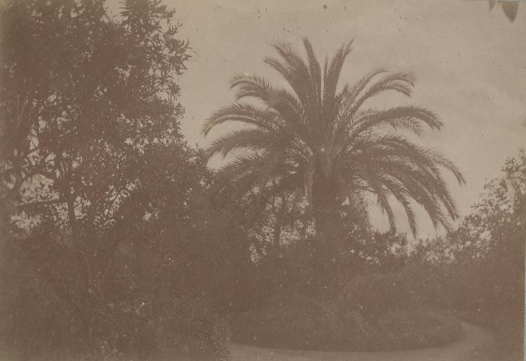 Villa d'Orléans. Palerme. 6 avril 1885. 284_0