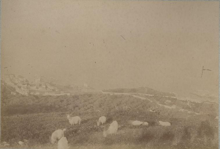 De Solunto (Sicile) 15 avril 1885_0