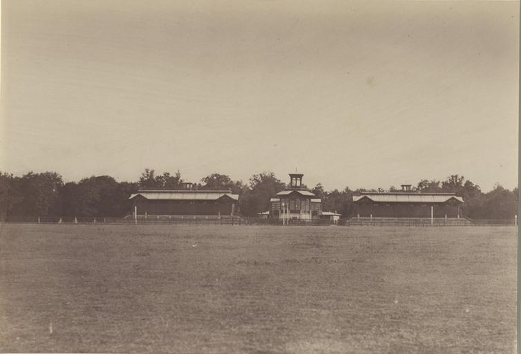 La pelouse : tribunes_0
