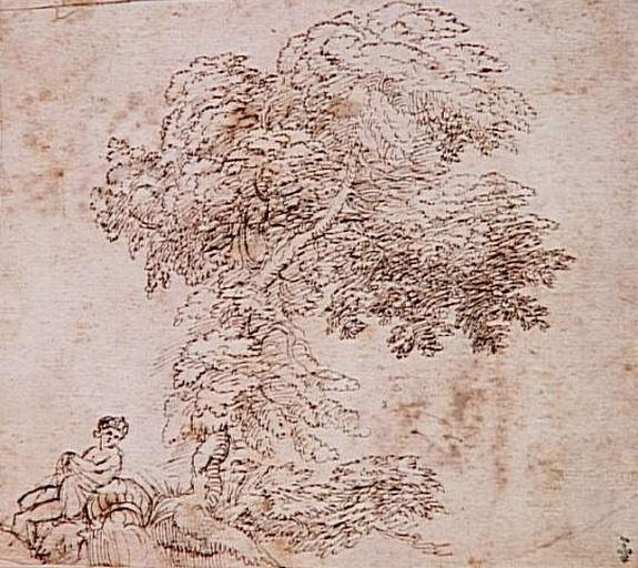 ETUDE D'ARBRE_0
