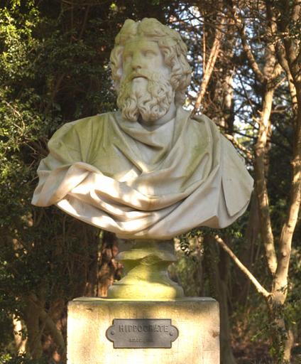 Buste d'Hippocrate_0