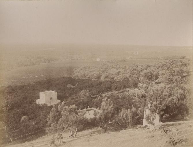 Zucco: jardin de citronniers du Rinazzo_0