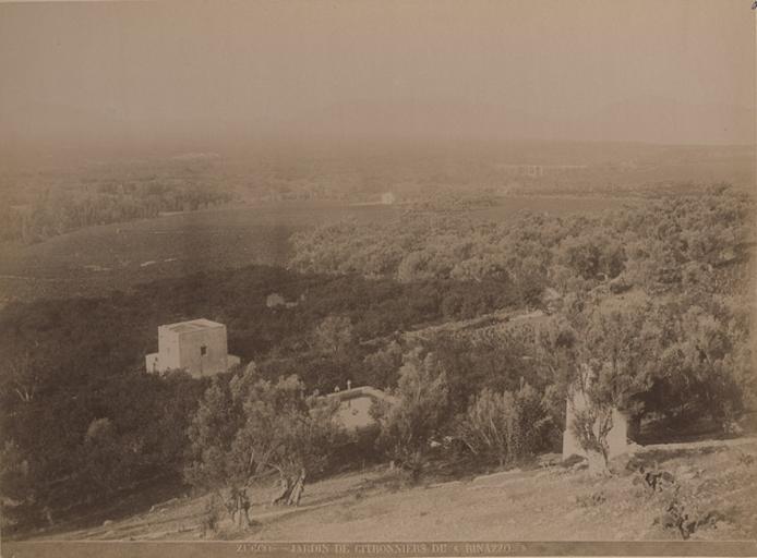 Zucco. Jardin de citronniers du Rinazzo_0