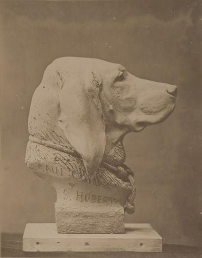 Tête de chien de Auguste Cain : saint Hubert_0