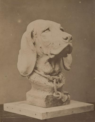 Tête de chien de Auguste Cain : saint Hubert_0
