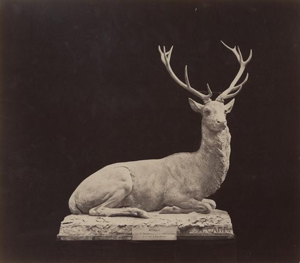 Cerf assis par Auguste Cain. 1890 : attaqué au carrefour Saint-Barthélémy pris au lac de Molton après 2 h de chasse le 11 xbre 1882 L.C. par Hourvari_0