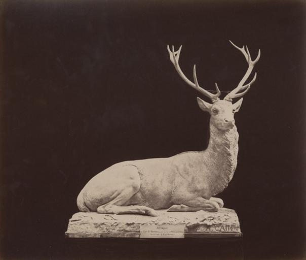 Cerf assis par Auguste Cain.1890 : attaqué au carrefour Saint-Barthélémy pris au lac de Molton après 2 h de chasse le 11 xbre 1882 L.C. par Hourvari_0