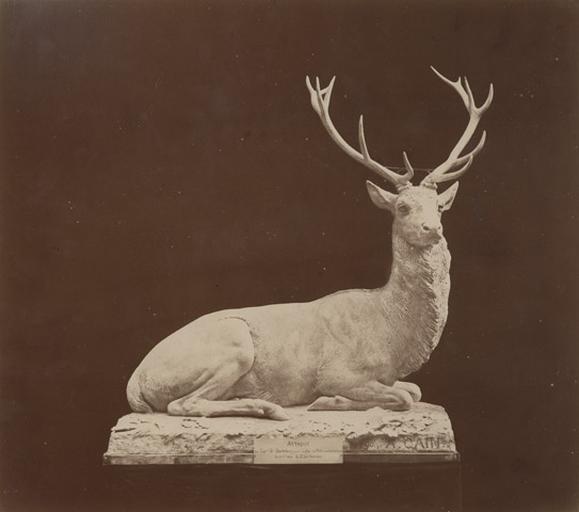 Cerf assis par Auguste Cain.1890 : attaqué au carrefour Saint-Barthélémy pris au lac de Molton après 2 h de chasse le 11 xbre 1882 L.C. par Hourvari_0
