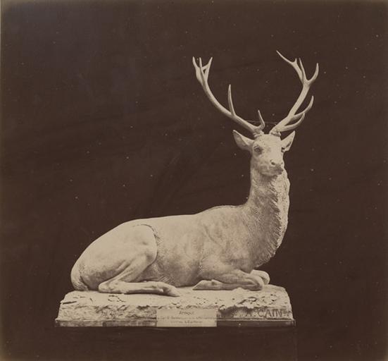 Cerf assis par Auguste Cain.1890 : attaqué au carrefour Saint-Barthélémy pris au lac de Molton après 2 h de chasse le 11 xbre 1882 L.C. par Hourvari_0