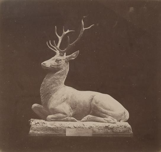 Cerf assis par Auguste Cain.1890 : Saint Huber attaqué au carrefour Saint-Remy forêt de Chantilly près de la Thève dans le village de Mongrésin après une partie de chasse le 4 9bre 1876 L.C. par Dupré_0
