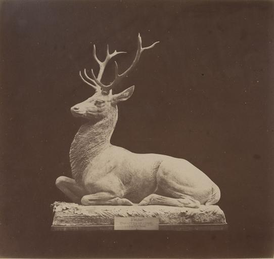 Cerf assis par Auguste Cain.1890 : Saint Huber attaqué au carrefour Saint-Remy forêt de Chantilly près de la Thève dans le village de Mongrésin après une partie de chasse le 4 9bre 1876 L.C. par Dupré_0