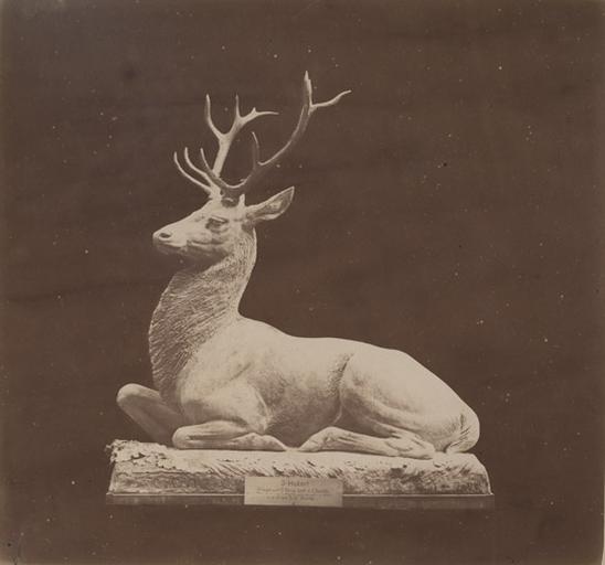 Cerf assis par Auguste Cain.1890 : Saint Huber attaqué au carrefour Saint-Remy forêt de Chantilly près de la Thève dans le village de Mongrésin après une partie de chasse le 4 9bre 1876 L.C. par Dupré_0