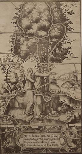 Vitrail de la Galerie de Psyché au château de Chantilly, provenant d'Ecouen : Vénus montre à Psyché les moutons auxquels elle doit arracher quelques brins de laine. 29_0