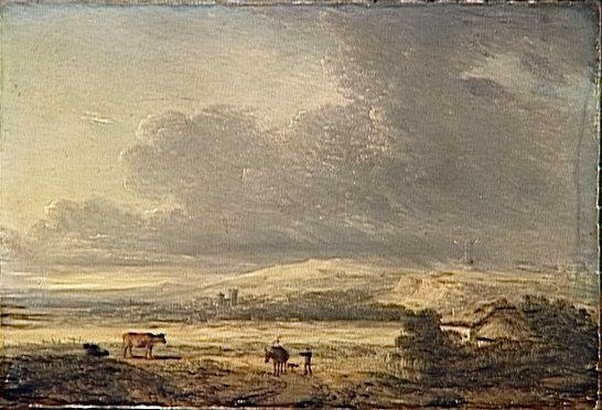 Paysage au moulin_0