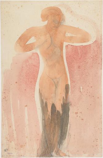 FEMME NUE DEBOUT PRESSANT SES SEINS DANS LES MAINS_0