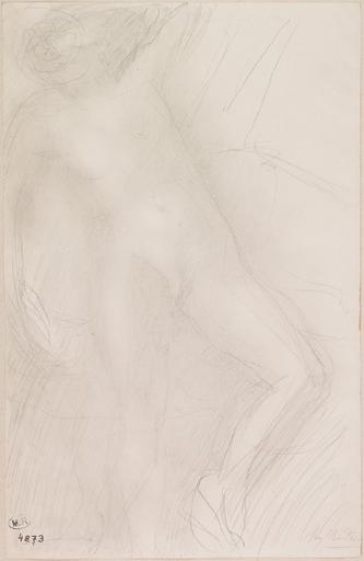 FEMME NUE DANS UN MOUVEMENT DE DANSE_0