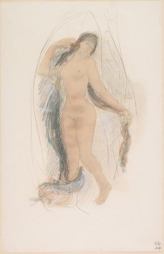 FEMME NUE DEBOUT, AUX LONGS CHEVEUX DENOUES_0