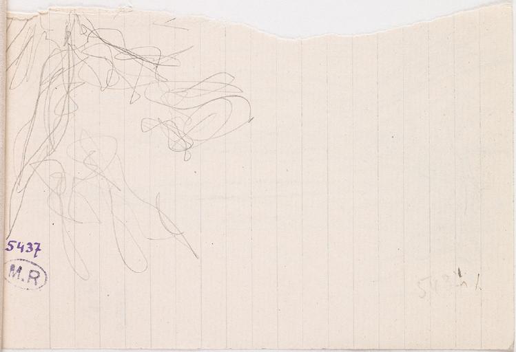PAYSAGE_1