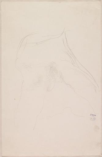 VENTRE DE FEMME AU CUISSES OUVERTES, DE FACE_0