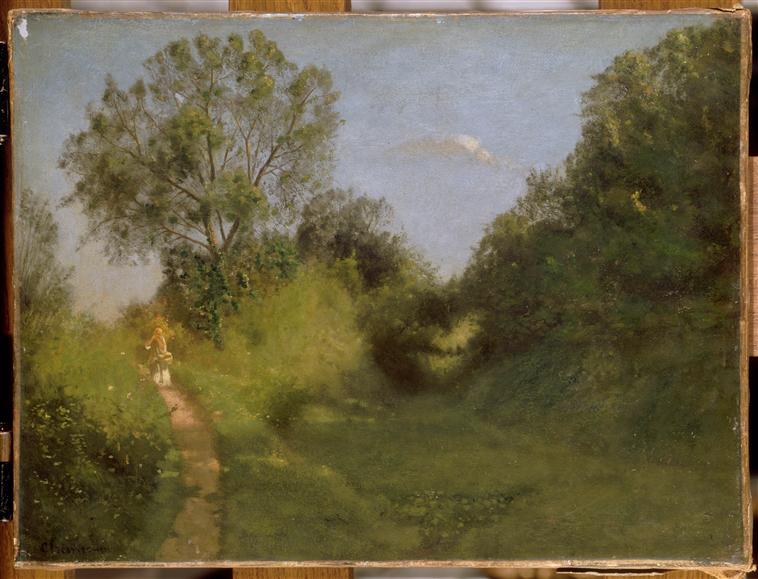 Sentier au bord d'un vallon ombreux_0