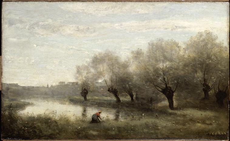 SAULAIE A LA POINTE D'UN MARAIS_0