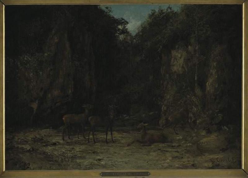 Remise de cerfs au crépuscule, dit aussi choix d'un gîte au crépuscule_0