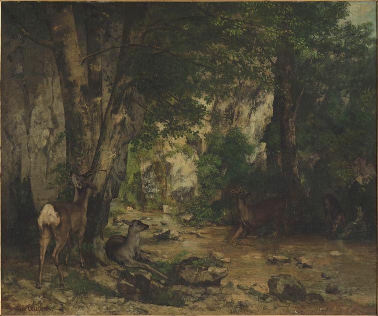 Remise de chevreuils au ruisseau de Plaisir-Fontaine_0