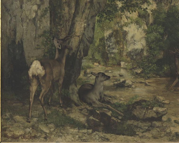 Remise de chevreuils au ruisseau de Plaisir-Fontaine_1