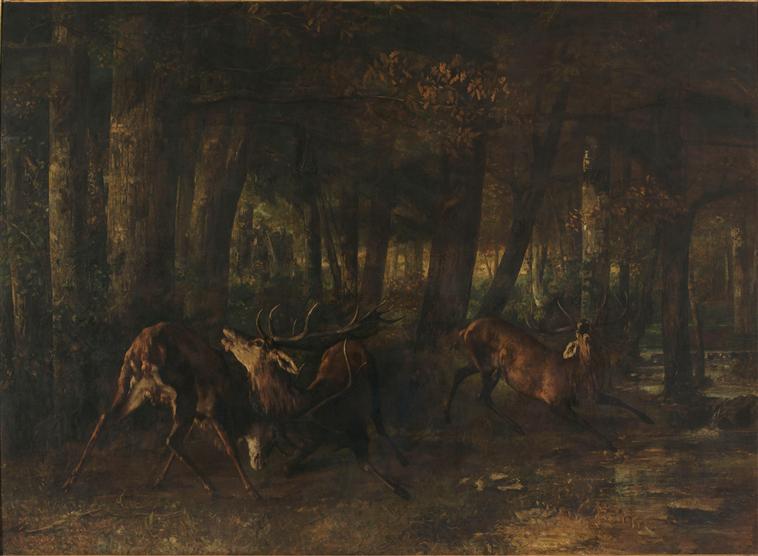 Le rut du printemps. Combat de cerfs_0