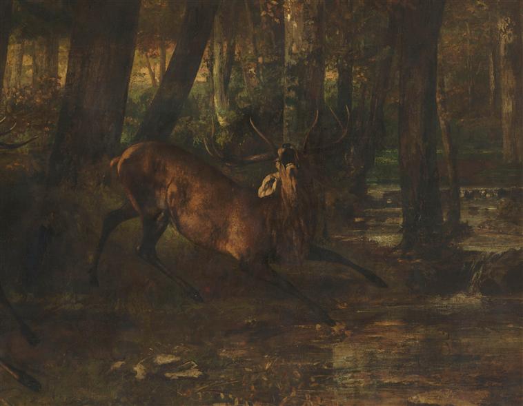 Le rut du printemps. Combat de cerfs_2