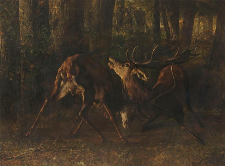 Le rut du printemps. Combat de cerfs_1