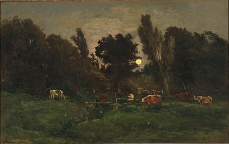 Le pré des Graves, à Villerville_0