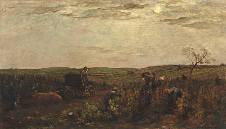 Les vendanges en Bourgogne_0