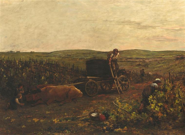 Les vendanges en Bourgogne_1
