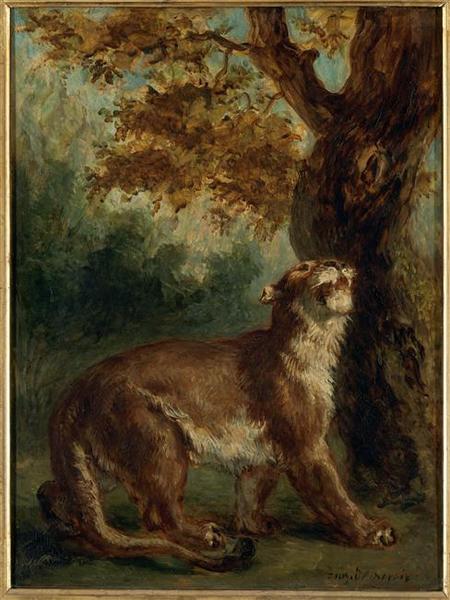 Le Puma, dit aussi Lionne guettant une proie_0
