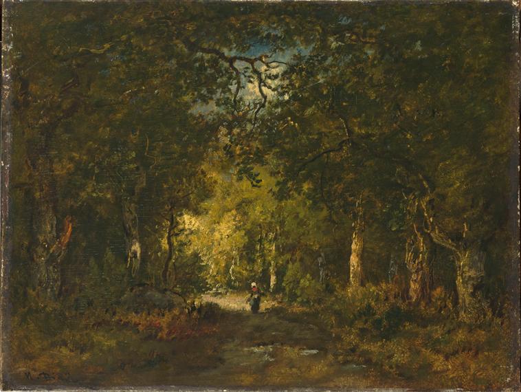 La route sous bois_0