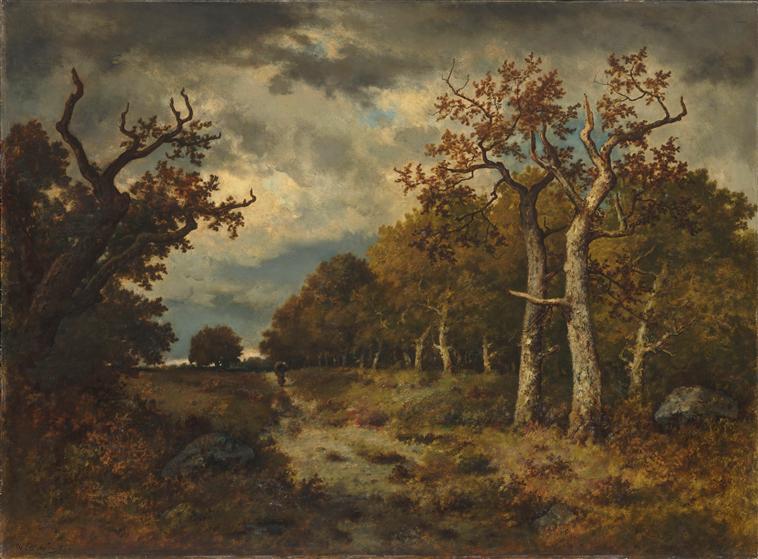 Lisière de forêt_0