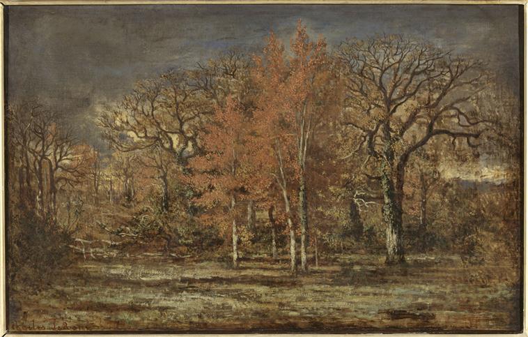 Lisière de bois. Cerisiers en automne_0